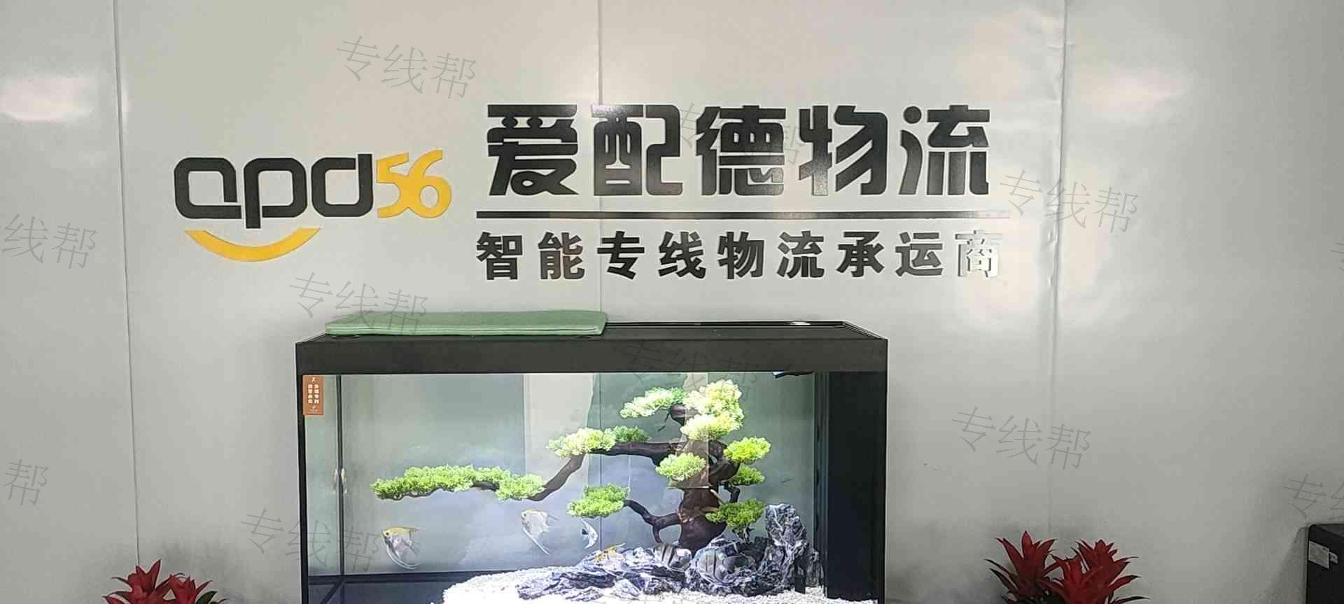 枣庄爱配德物流供应链管理有限公司 枣庄爱配德物流供应链管理有限公司