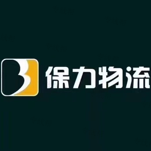 广东保力供应链管理有限公司