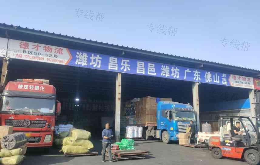 山东德才物流有限公司 山东德才物流有限公司