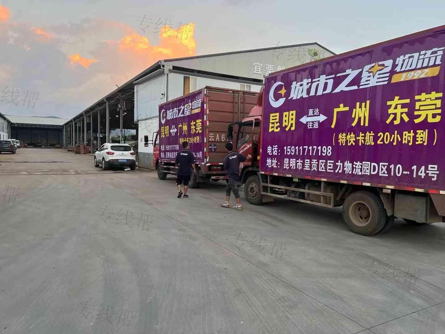 东莞市骏力货运代理有限公司