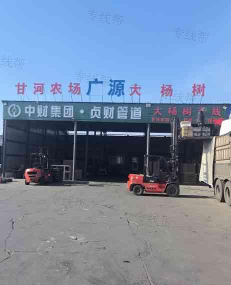广源大杨树货站