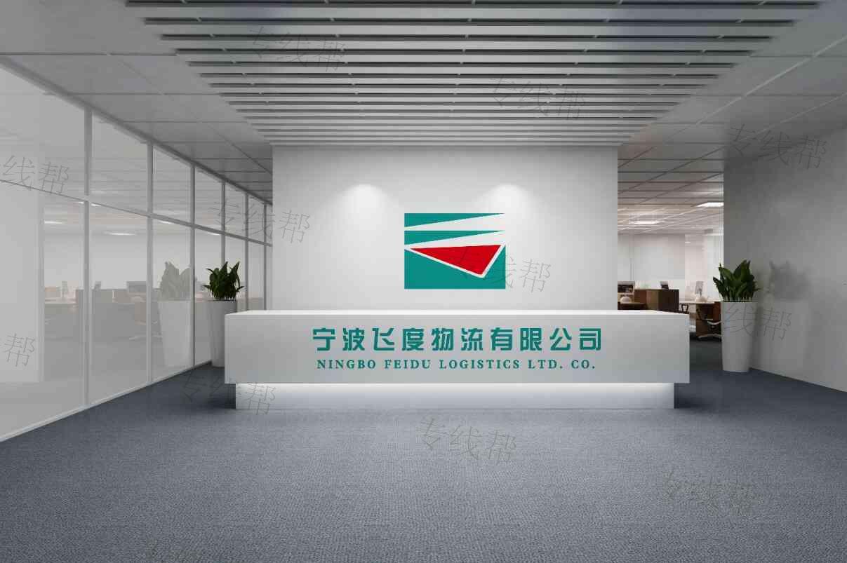 宁波飞度国际物流有限公司